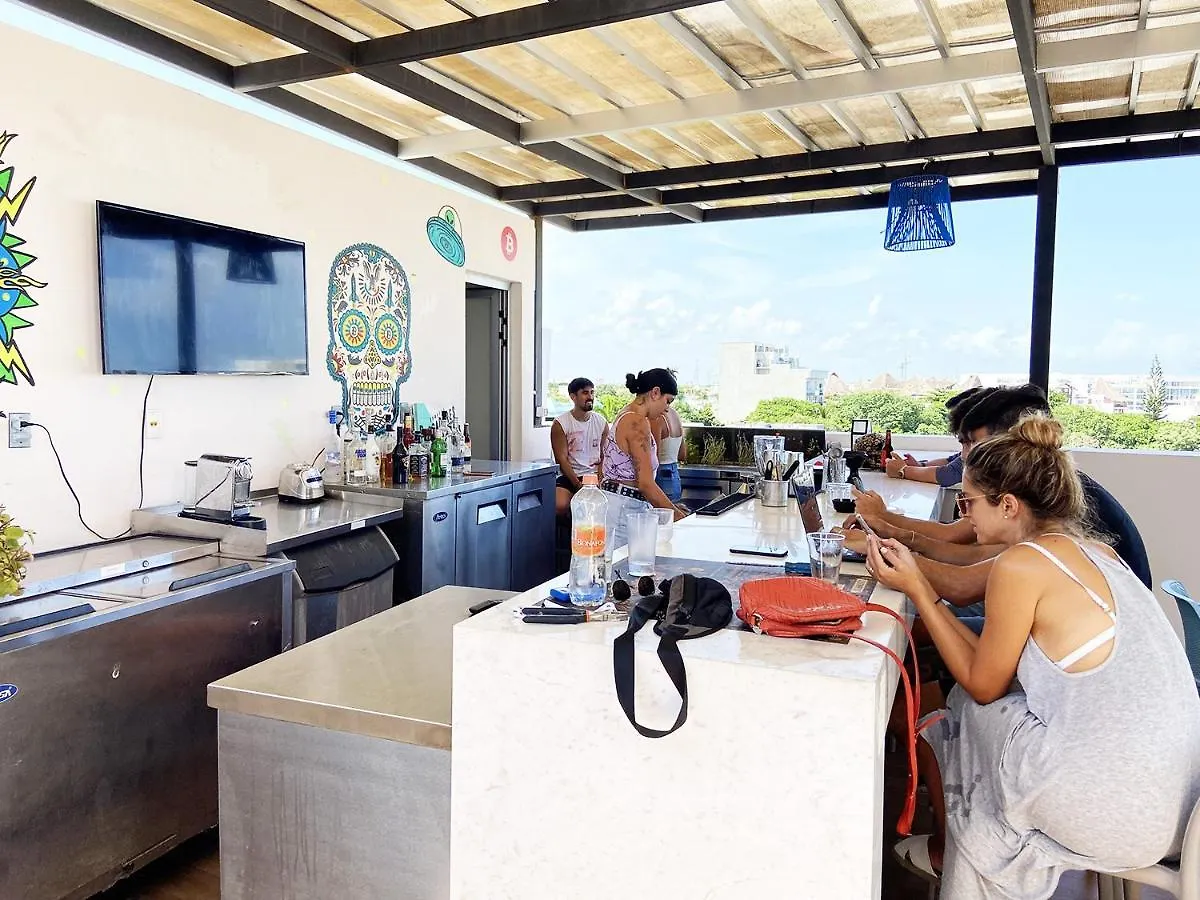 Studio W/Rooftop Pool Only 2 Mins From The Beach بلايا ديل كارمن 0*,  المكسيك